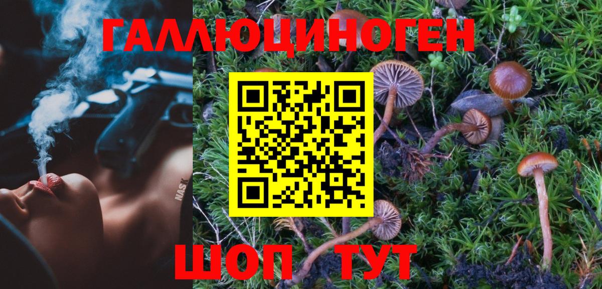 Галлюциногенные грибы GOLDEN TEACHER  Вход с VPN  Галлюциногенные грибы мицелий  Азов 