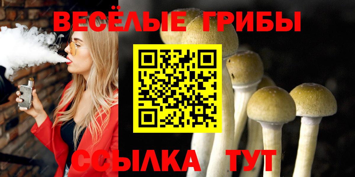 Псилоцибиновые грибы Psilocybine cubensis Азов